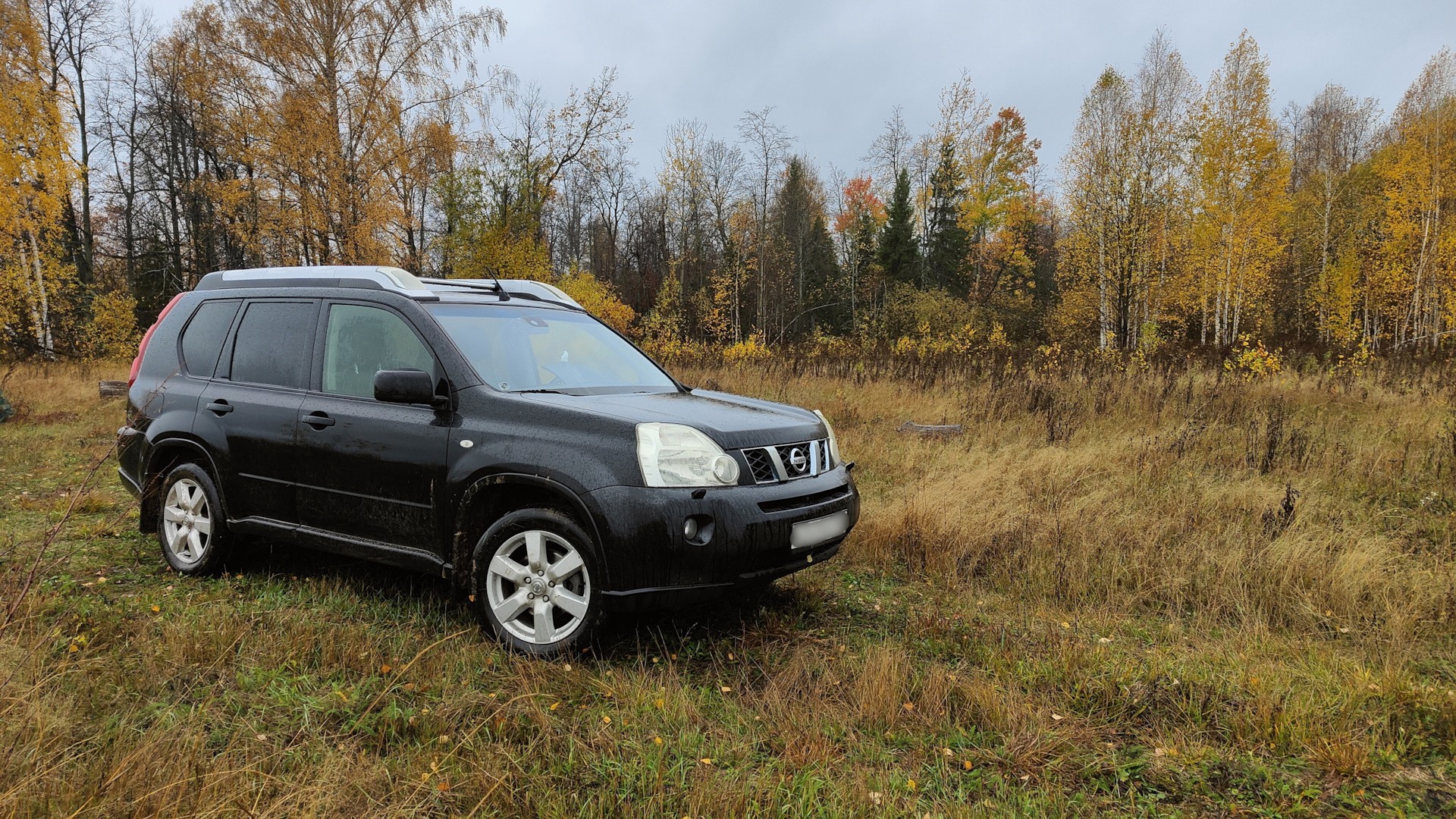 Nissan X-Trail II (t31) 2.0 дизельный 2008 | на DRIVE2