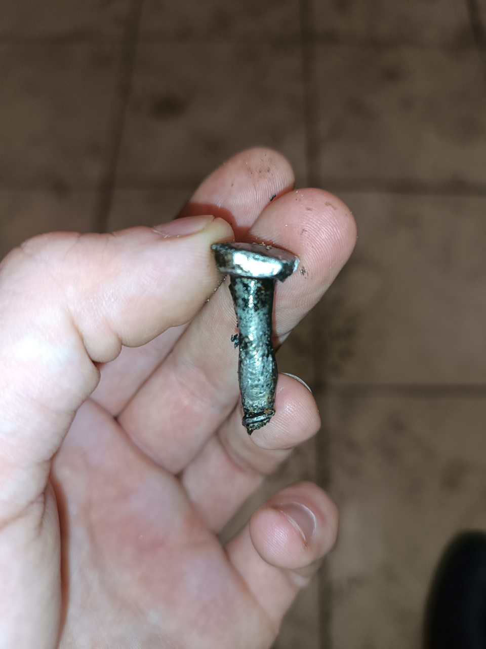 Фото в бортжурнале ГАЗ 3110