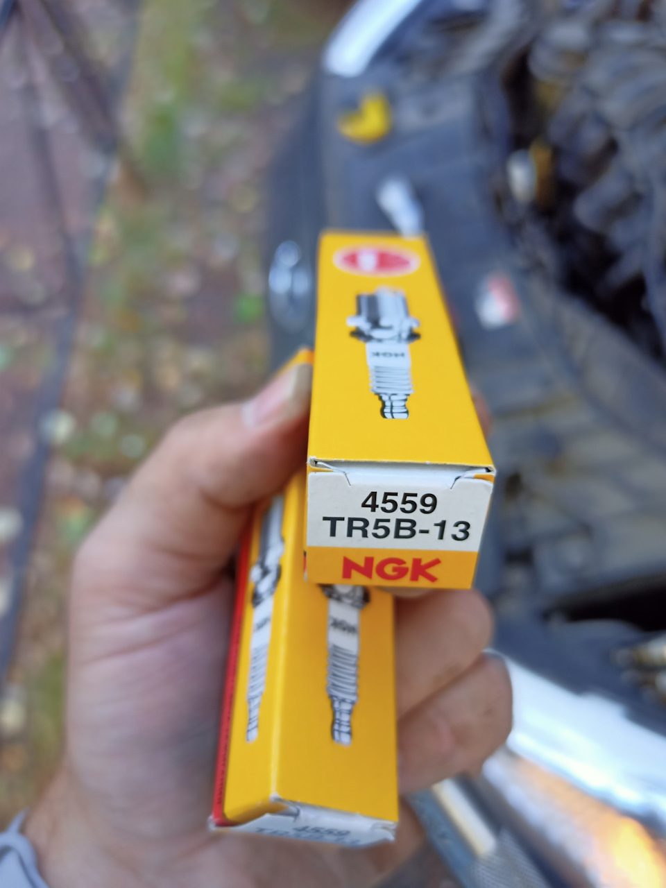 Фото в бортжурнале Ford Focus Hatchback III. Запчасти на фото: 4559, TR5B13