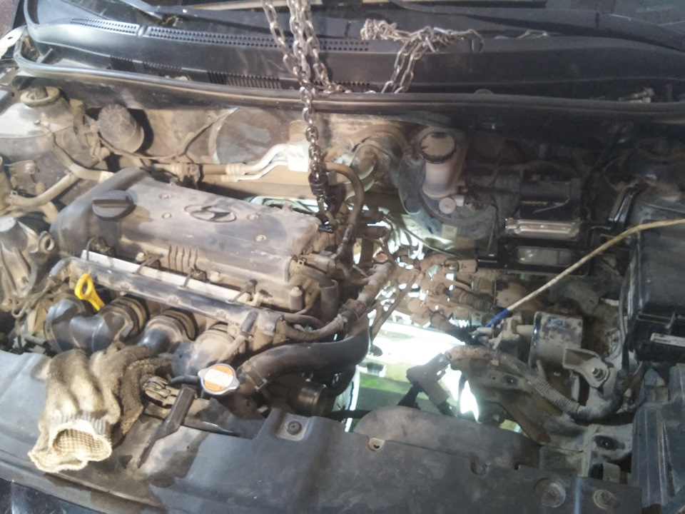 Замена сальника первичного вала со снятием и полным разбором КПП на ...