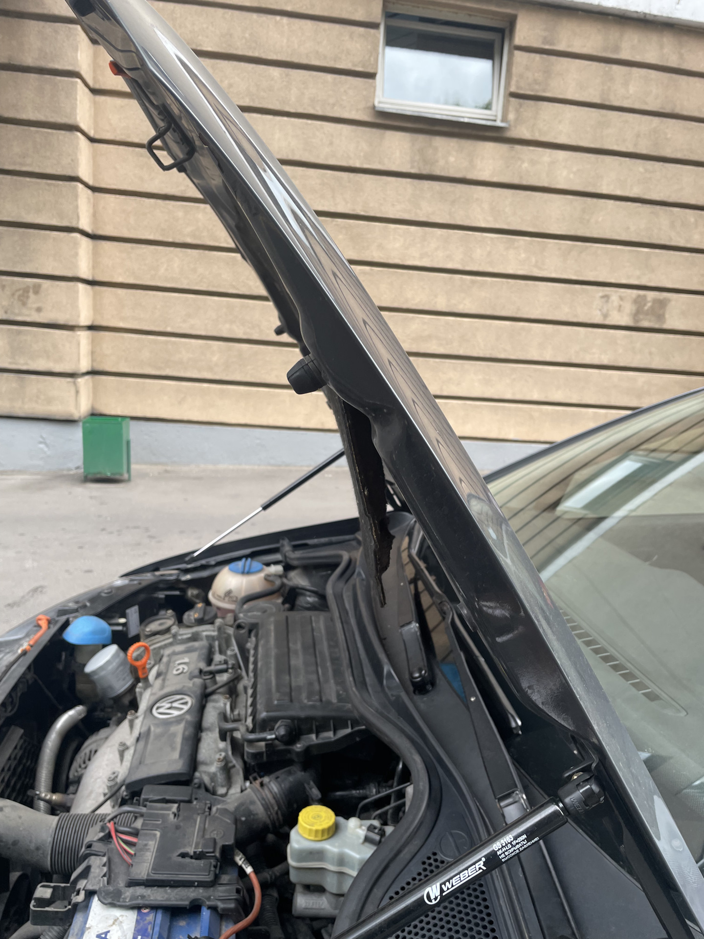 Клипсы крепления обшивки капота — Volkswagen Polo Sedan, 1,6 л, 2011 ...