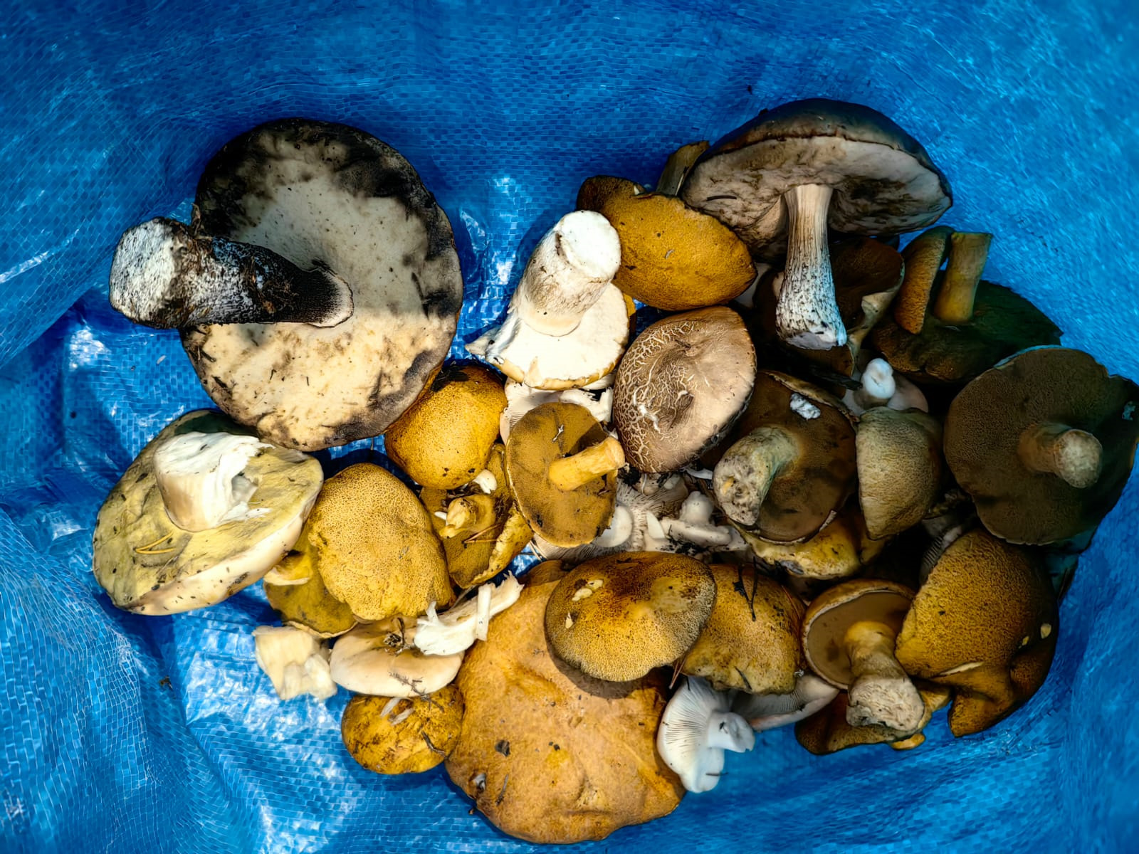 Осенняя рыбалка в Когалыме — DRIVE2