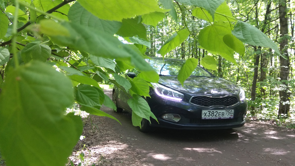 делимся опытом — KIA Ceed (2G), 1,6 л, 2013 года | продажа машины | DRIVE2