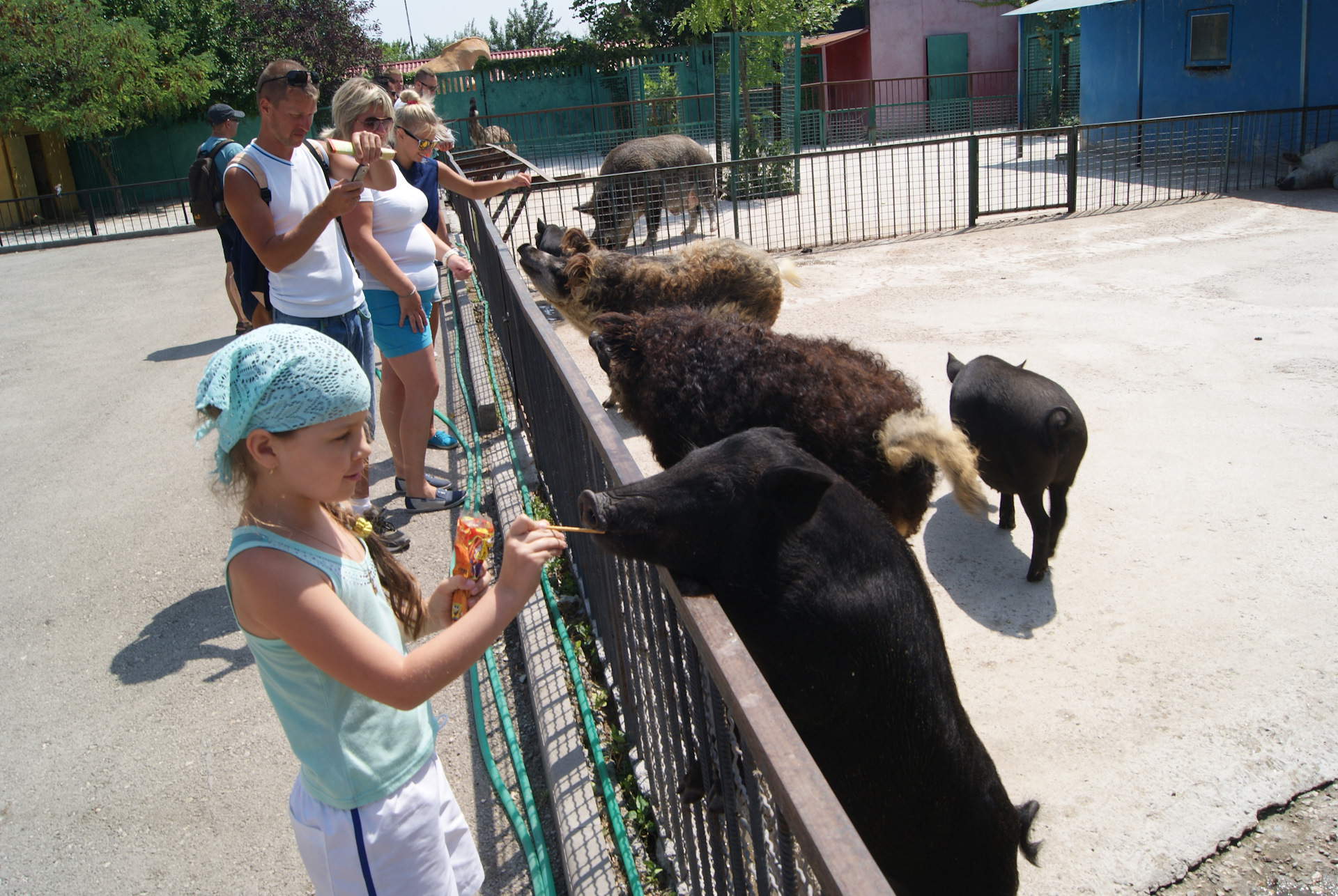 Парк тайган цена 2024 для крымчан. Тайган сафари парк в Крыму. Белогорск зоопарк Тайган. Зоопарк Тайган в Крыму.
