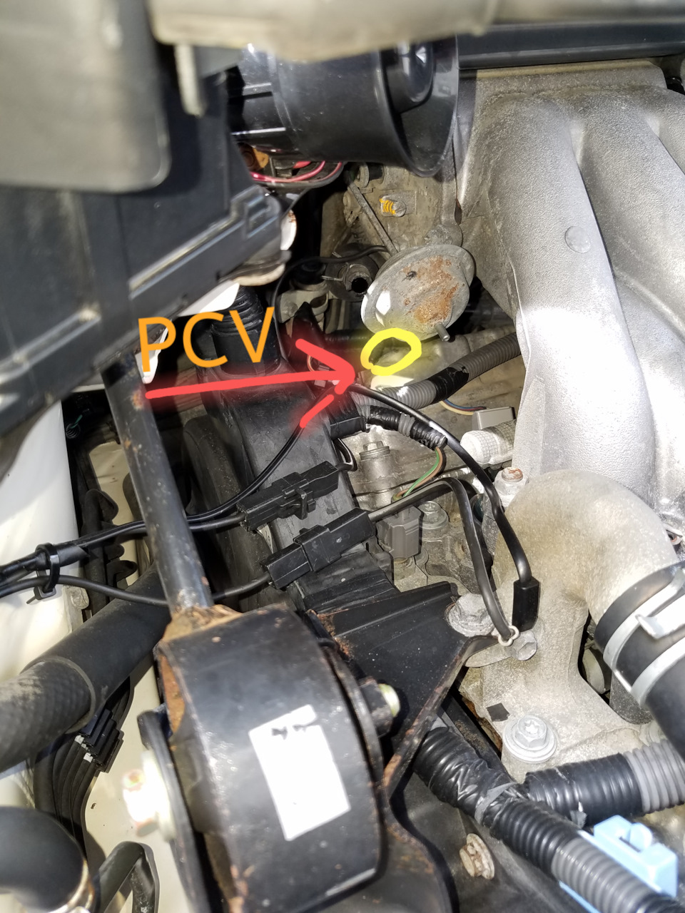 Замена клапана PCV 1mzfe 3.0 — Lexus RX (1G), 3 л, 1999 года