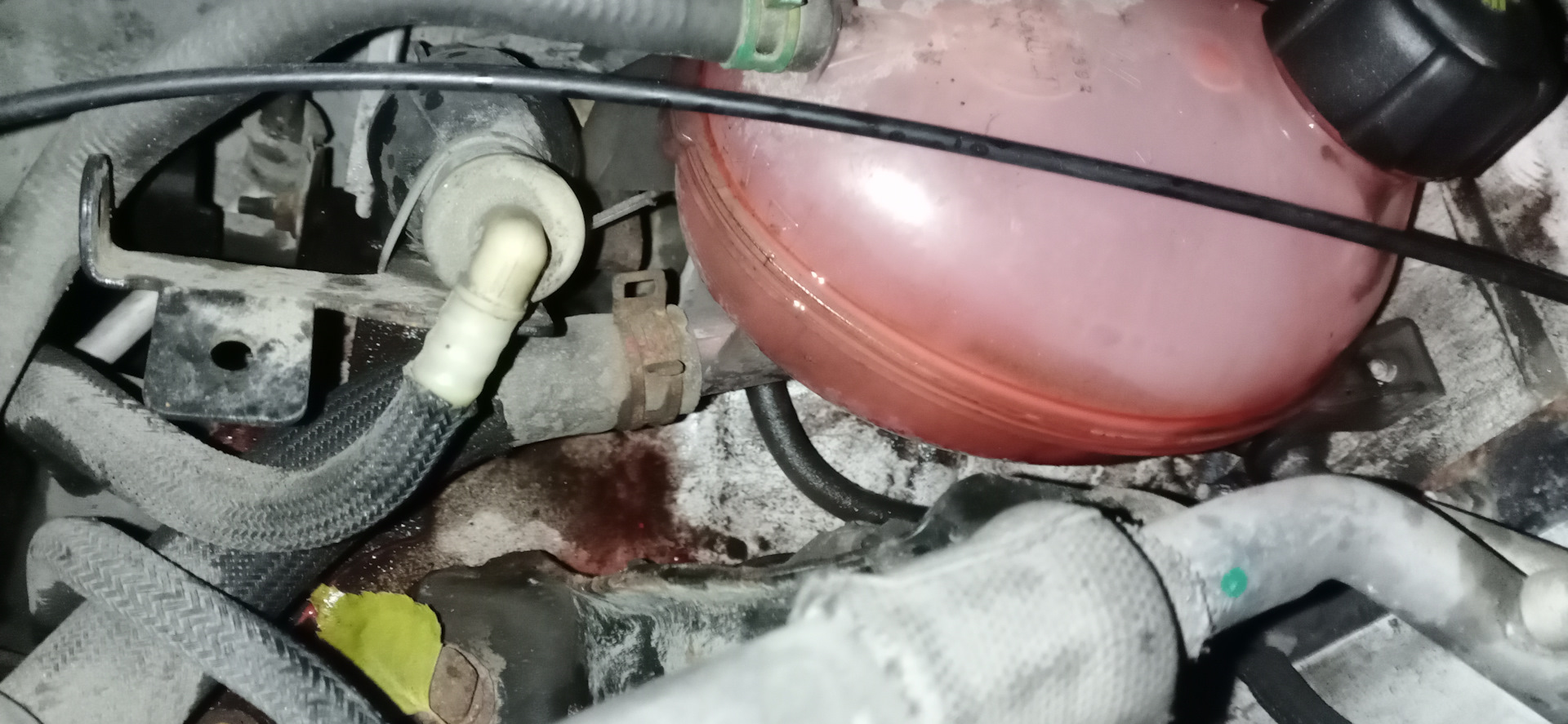 Замена ремня ГРМ, ОЖ, сервисного ремня — Renault Duster (1G), 1,5 л ...