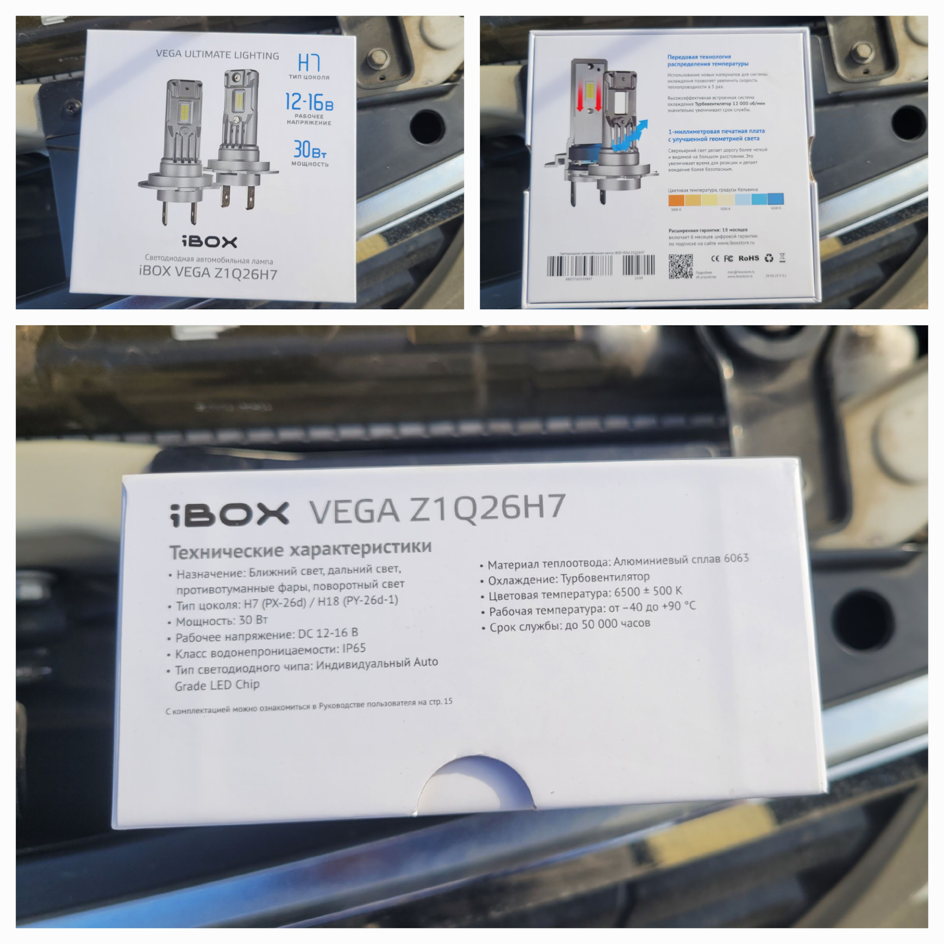 Ibox vega