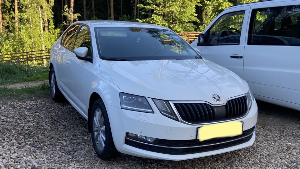 Летняя резина р16 — Skoda Octavia A7 Mk3, 1,8 л, 2017 года | шины | DRIVE2