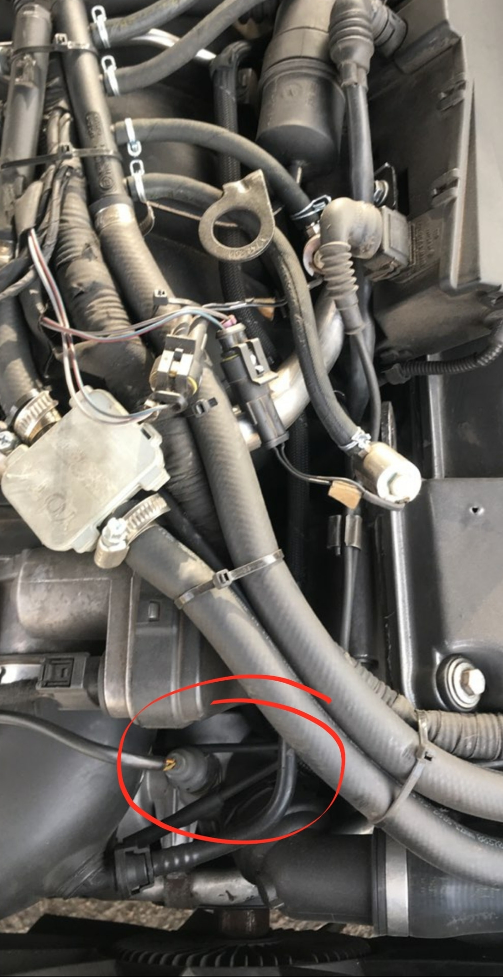 Map cooling, давай до свидания😎 — BMW 7 series (E38), 4,4 л, 1999 года