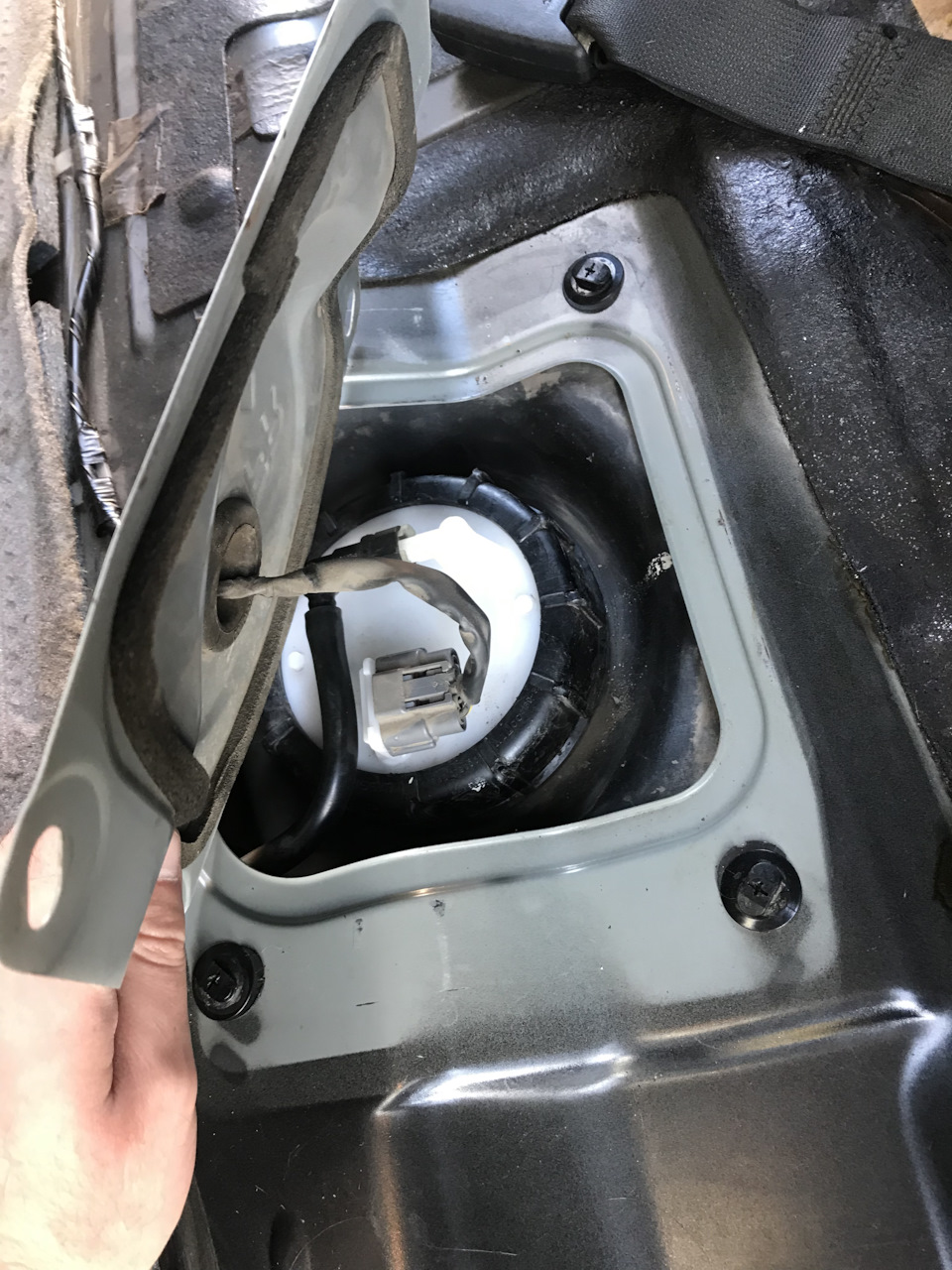 Эпопея с датчиком уровня топлива и ограничители дверей — Nissan Teana ...