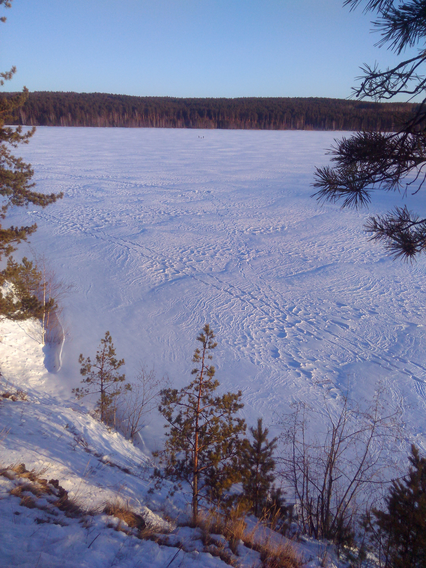 Веб камеры двуреченск