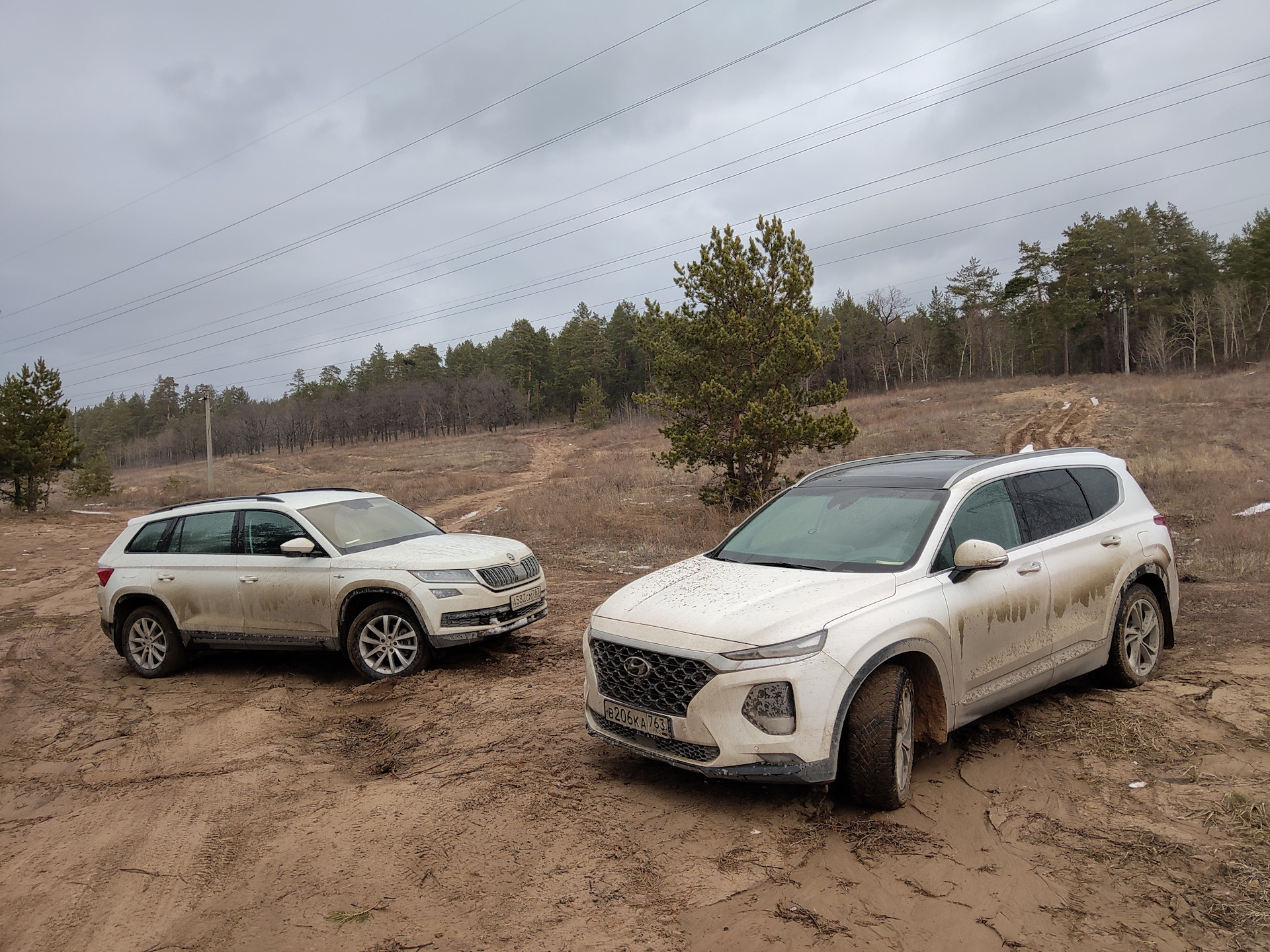 Santa fe tm 2.2. Santa Fe vs Kodiaq. Santa Fe 2019 vs Kodiaq. Santa Fe vs Kodiaq 2021. Skoda Kodiak vs Hyundai Santa Fe.