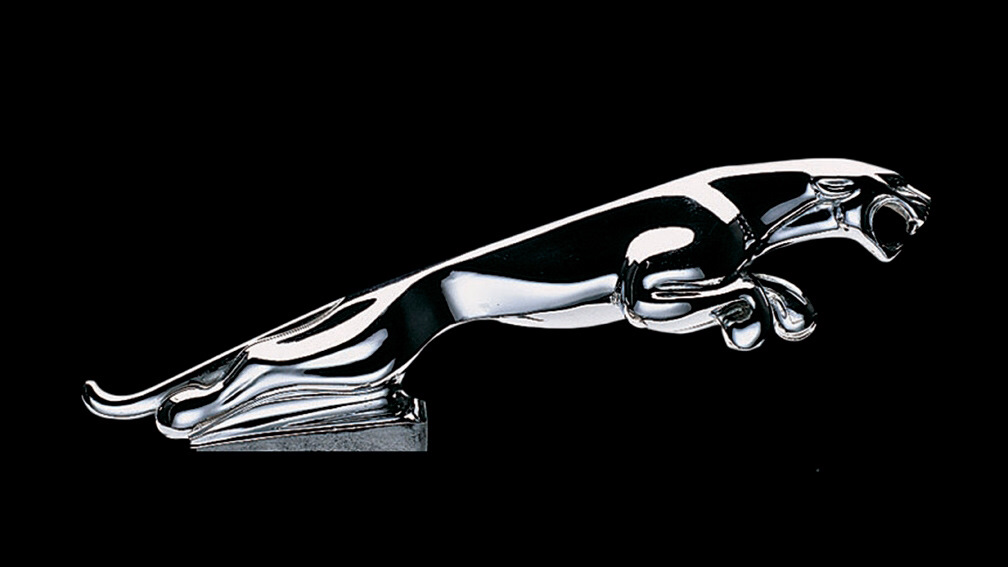 Dildo Hood Ornament