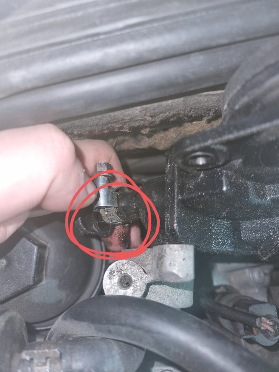 N10254901 Хомут VAG | Запчасти на DRIVE2