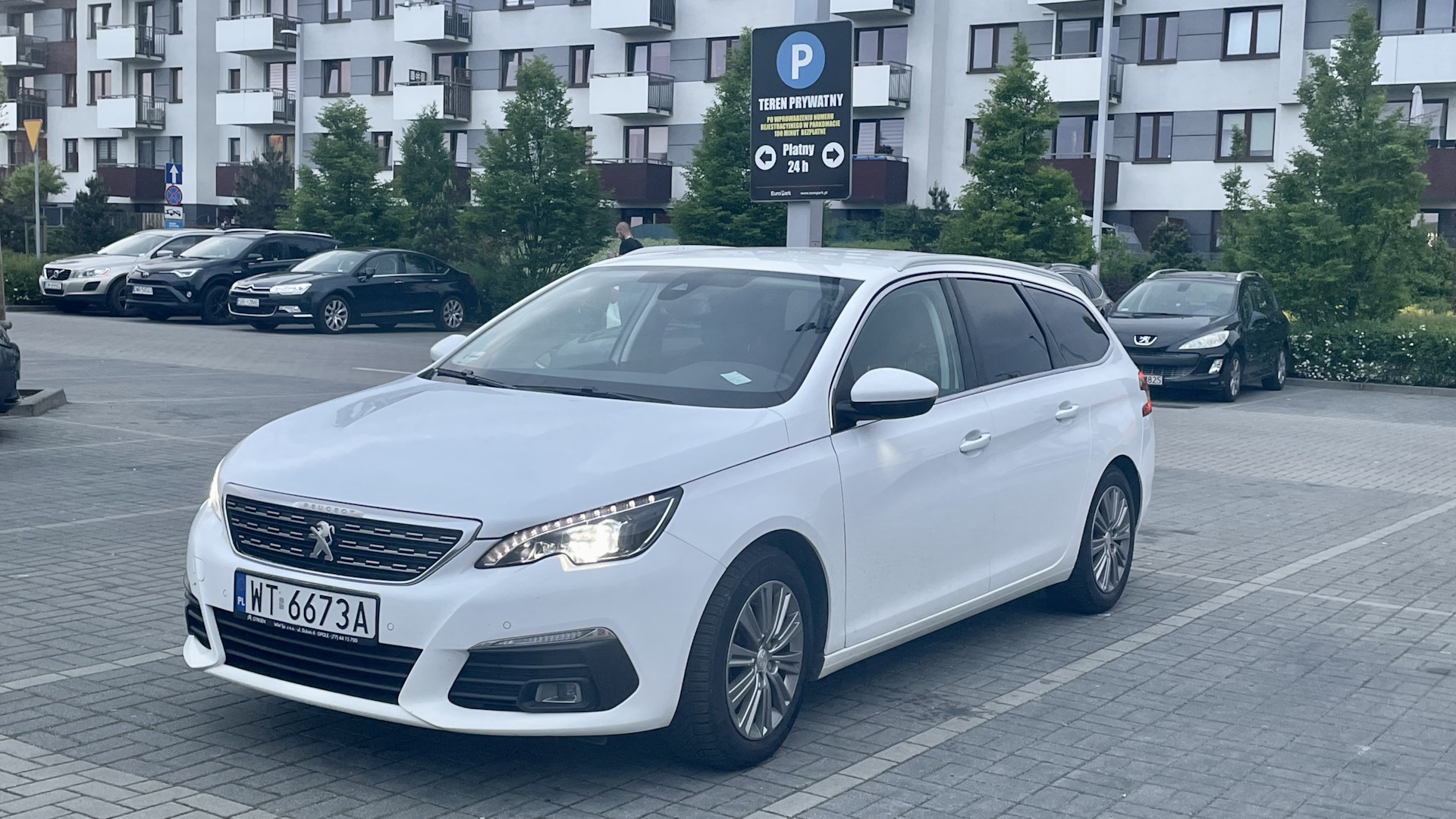 Peugeot 308 SW (2G) 1.5 дизельный 2019 | на DRIVE2