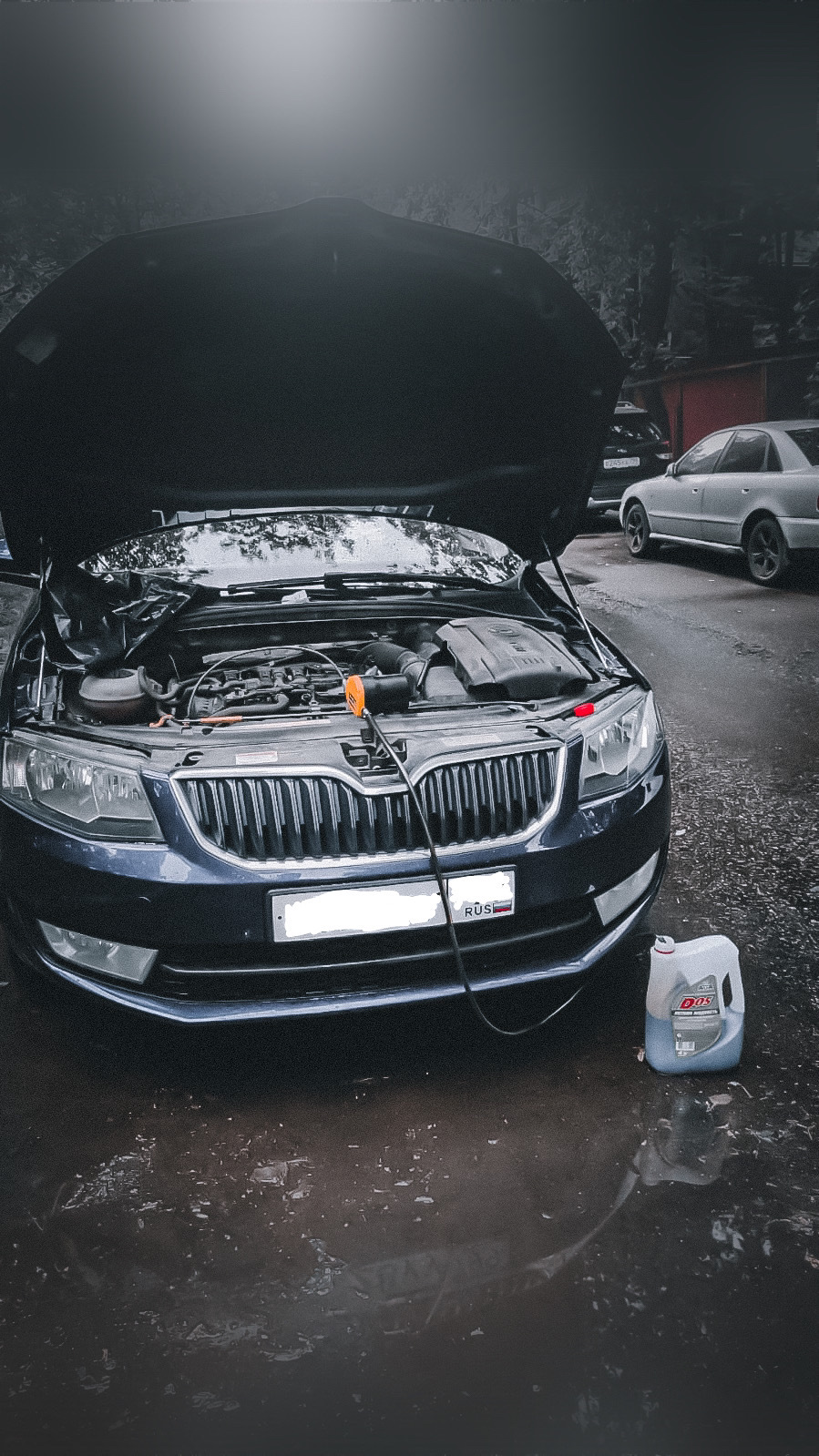 🌊#2. ТО. Замена масла, покупка друга. — Skoda Octavia A7 Mk3, 1,8 л ...