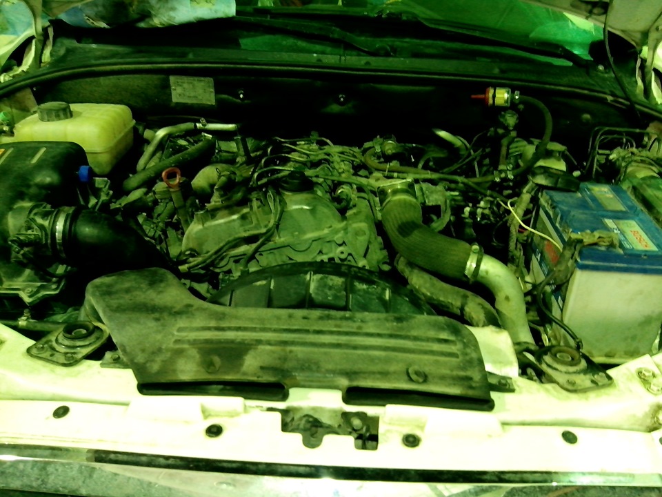 Фото в бортжурнале SsangYong Kyron