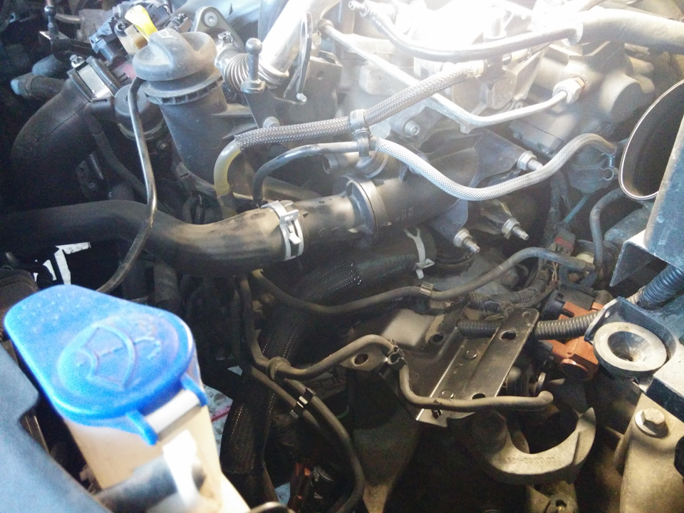 Замена термостата на дизеле. — DRIVE2