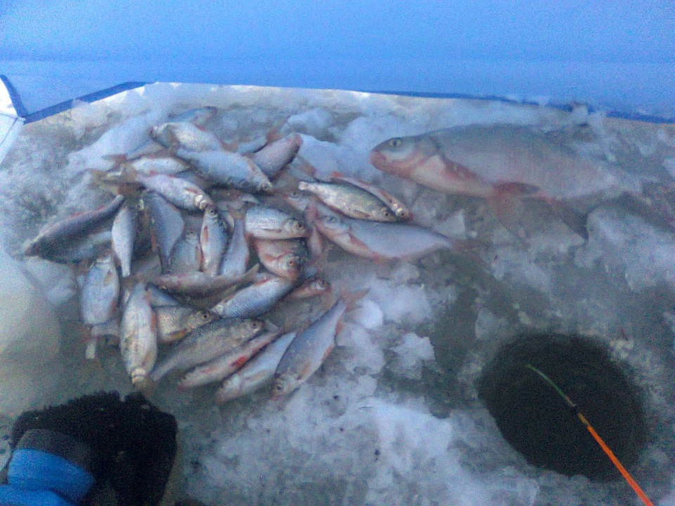 Рыбалка 2014. Затон Иртыша. — Mitsubishi Montero Sport, 3 л, 2000 года ...