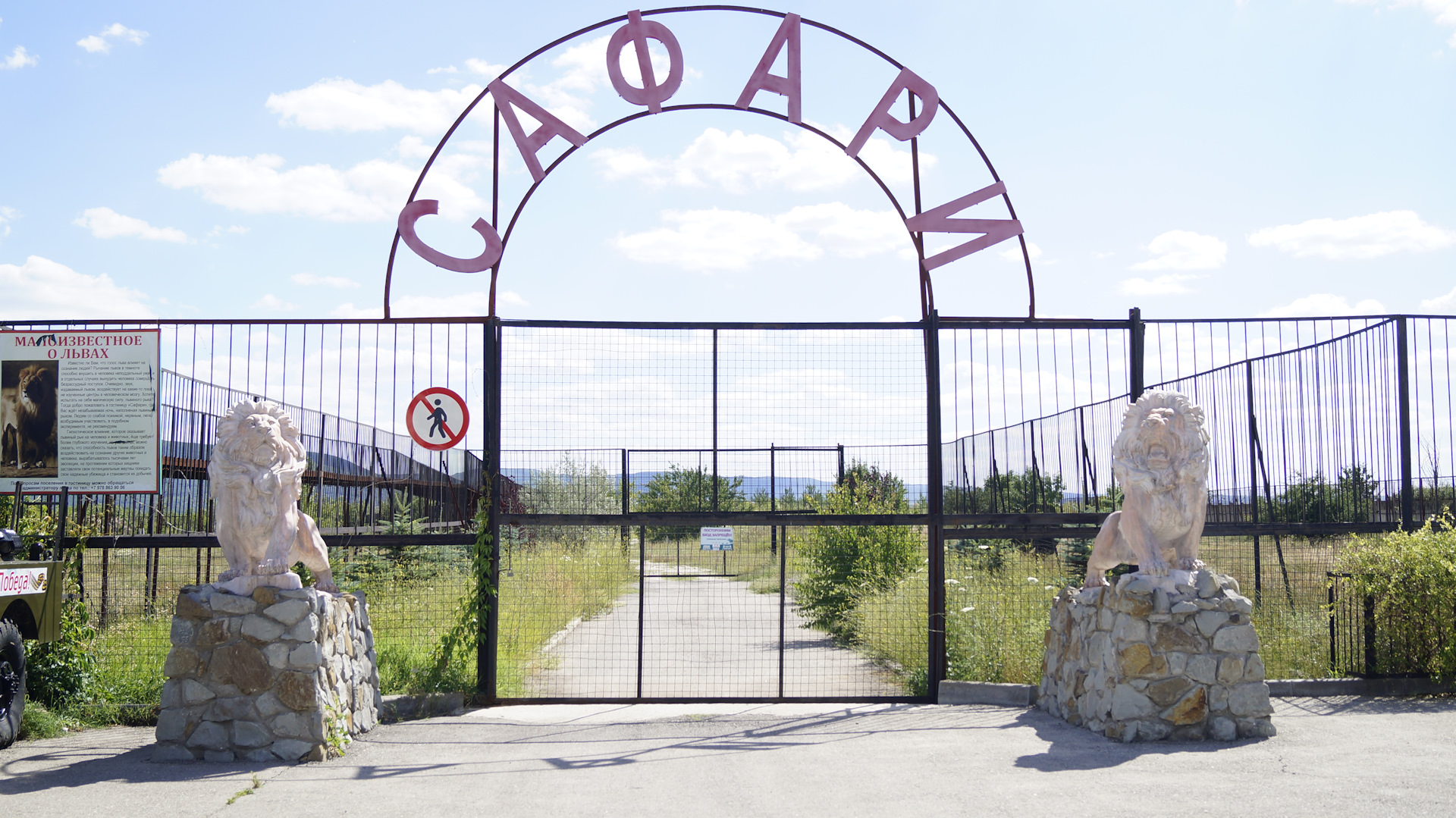 Парк львов тайган в крыму. Тайган сафари парк. Парк тайган крым где находится на карте крыма показать. Как доехать до тайгана. Тайган сафари парк в крыму цена 2021 билета.