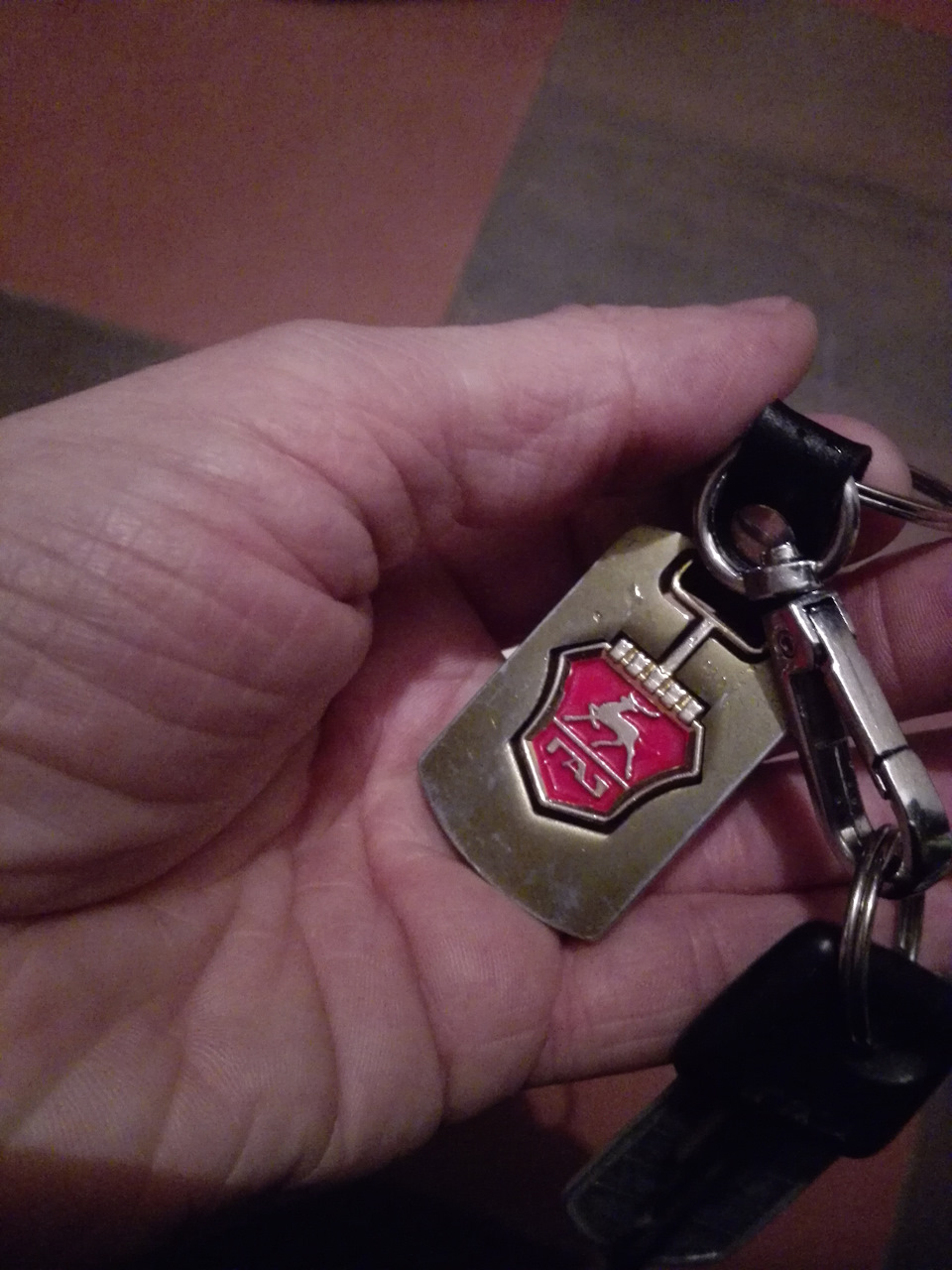 Логотип ГАЗ на брелке — ГАЗ 31105, 2,4 л, 2007 года | аксессуары | DRIVE2