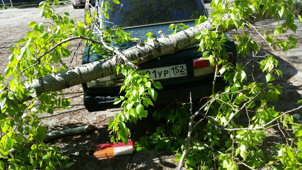 Приора скрип справа