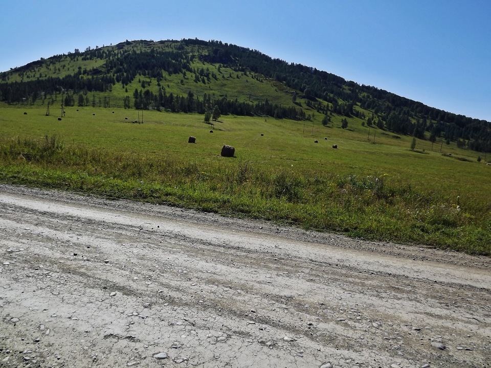 Горный чарыш сентелек. Чарыш коргон. Горный чарыш. Сколько время сейчас в сентелеке. Коргон алтай.