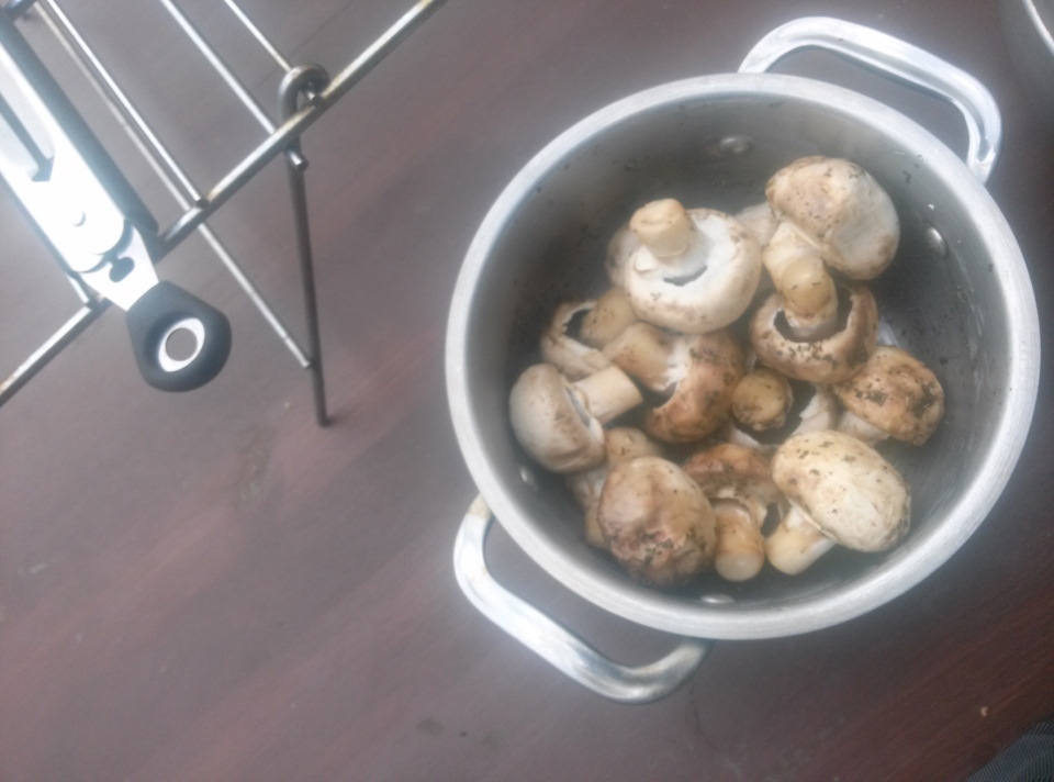 ΡΠ²ΠΈΠ½ΡΠ΅ ΡΠ³ΠΎΠ»ΠΊΠΈ Π½Π° ΠΌΠ°Π½Π³Π°Π»Π΅ ΡΠ΅ΡΠ΅ΠΏΡ. Π‘ΠΌΠΎΡΡΠ΅ΡΡ ΡΠΎΡΠΎ ΡΠ²ΠΈΠ½ΡΠ΅ ΡΠ³ΠΎΠ»ΠΊΠΈ Π½Π° ΠΌΠ°Π½Π³Π°Π»Π΅ ΡΠ΅ΡΠ΅ΠΏΡ. Π‘ΠΌΠΎΡΡΠ΅ΡΡ ΠΊΠ°ΡΡΠΈΠ½ΠΊΡ ΡΠ²ΠΈΠ½ΡΠ΅ ΡΠ³ΠΎΠ»ΠΊΠΈ Π½Π° ΠΌΠ°Π½Π³Π°Π»Π΅ ΡΠ΅ΡΠ΅ΠΏΡ. ΠΠ°ΡΡΠΈΠ½ΠΊΠ° ΠΏΡΠΎ ΡΠ²ΠΈΠ½ΡΠ΅ ΡΠ³ΠΎΠ»ΠΊΠΈ Π½Π° ΠΌΠ°Π½Π³Π°Π»Π΅ ΡΠ΅ΡΠ΅ΠΏΡ. Π€ΠΎΡΠΎ ΡΠ²ΠΈΠ½ΡΠ΅ ΡΠ³ΠΎΠ»ΠΊΠΈ Π½Π° ΠΌΠ°Π½Π³Π°Π»Π΅ ΡΠ΅ΡΠ΅ΠΏΡ ΡΠ²ΠΈΠ½ΡΠ΅ ΡΠ³ΠΎΠ»ΠΊΠΈ Π½Π° ΠΌΠ°Π½Π³Π°Π»Π΅ ΡΠ΅ΡΠ΅ΠΏΡ. Π‘ΠΌΠΎΡΡΠ΅ΡΡ ΡΠΎΡΠΎ ΡΠ²ΠΈΠ½ΡΠ΅ ΡΠ³ΠΎΠ»ΠΊΠΈ Π½Π° ΠΌΠ°Π½Π³Π°Π»Π΅ ΡΠ΅ΡΠ΅ΠΏΡ. Π‘ΠΌΠΎΡΡΠ΅ΡΡ ΠΊΠ°ΡΡΠΈΠ½ΠΊΡ ΡΠ²ΠΈΠ½ΡΠ΅ ΡΠ³ΠΎΠ»ΠΊΠΈ Π½Π° ΠΌΠ°Π½Π³Π°Π»Π΅ ΡΠ΅ΡΠ΅ΠΏΡ. ΠΠ°ΡΡΠΈΠ½ΠΊΠ° ΠΏΡΠΎ ΡΠ²ΠΈΠ½ΡΠ΅ ΡΠ³ΠΎΠ»ΠΊΠΈ Π½Π° ΠΌΠ°Π½Π³Π°Π»Π΅ ΡΠ΅ΡΠ΅ΠΏΡ. Π€ΠΎΡΠΎ ΡΠ²ΠΈΠ½ΡΠ΅ ΡΠ³ΠΎΠ»ΠΊΠΈ Π½Π° ΠΌΠ°Π½Π³Π°Π»Π΅ ΡΠ΅ΡΠ΅ΠΏΡ