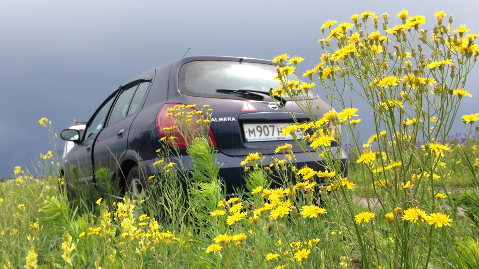 Машина тУпит, где бы раздобыть диагностический кабель? — Nissan Almera ...