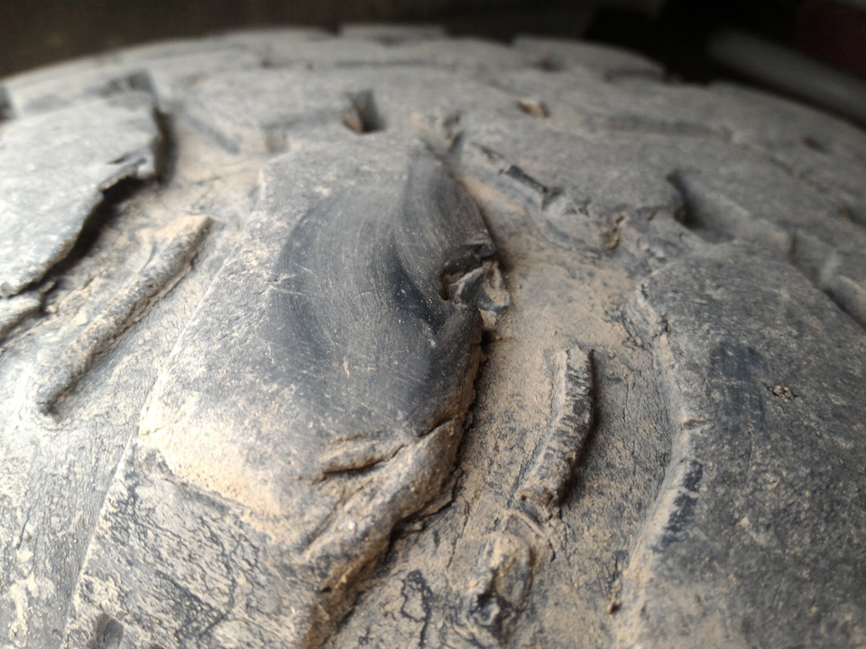 Cordiant off road 235 75 r15 на ниву. 4a75caes 960. Cordiant off road 235 75 r15 на ниву фото. Cordiant off road 235 75 r15 на ниву-4a75caes 960. картинка Cordiant off road 235 75 r15 на ниву. картинка 4a75caes 960. 1)Идёт уже 27 месяц эксплуатации шин Cordiant Off-Road, прошло порядка 58 000км, резина эксплуатируется во все времена года.