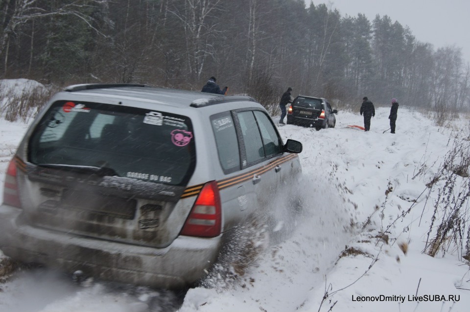Фото в бортжурнале Subaru Forester (SG)