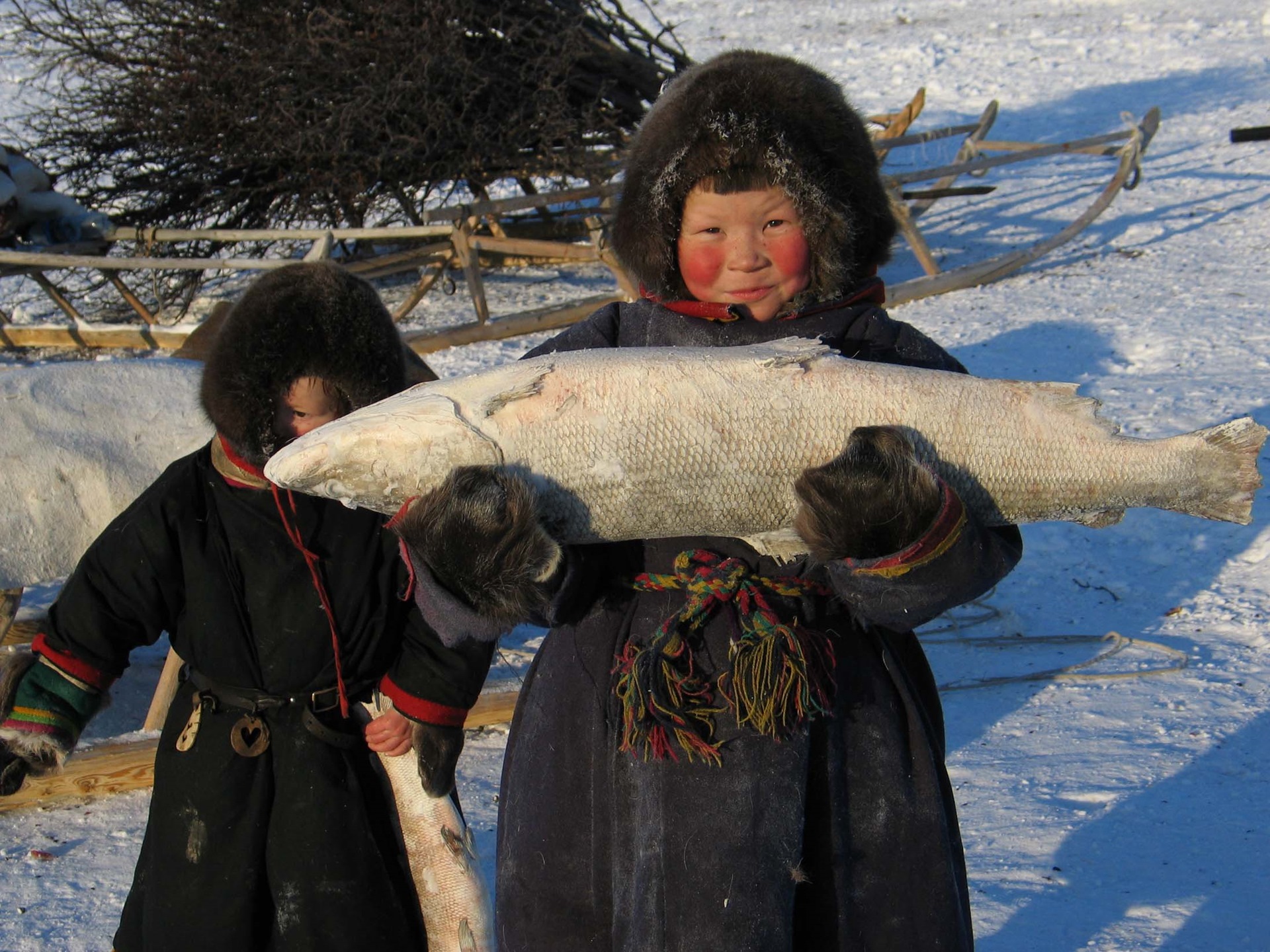 Туристы в тундре