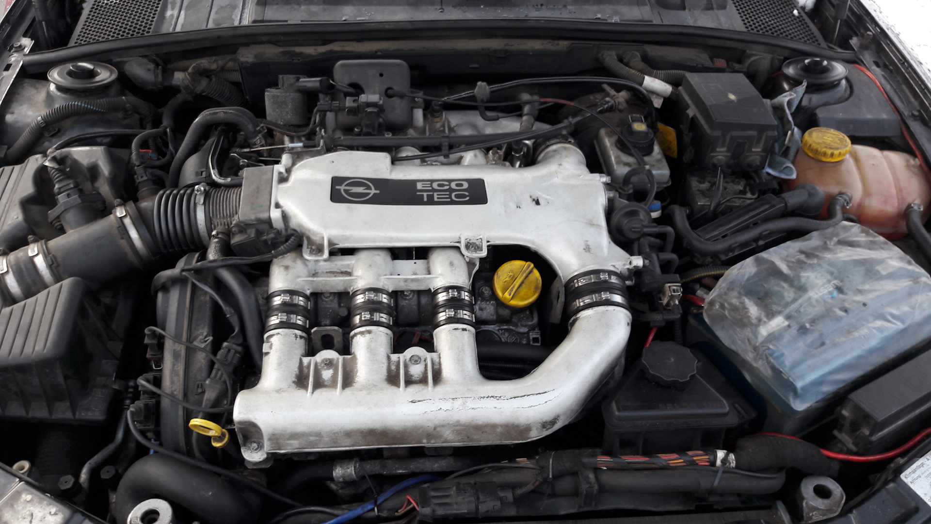 Не заводится опель вектра б. Opel Vectra b 2.5 v6. 2.5 V6 Vectra b. Опель Вектра а 2.5 v6. Opel Vectra b v6.