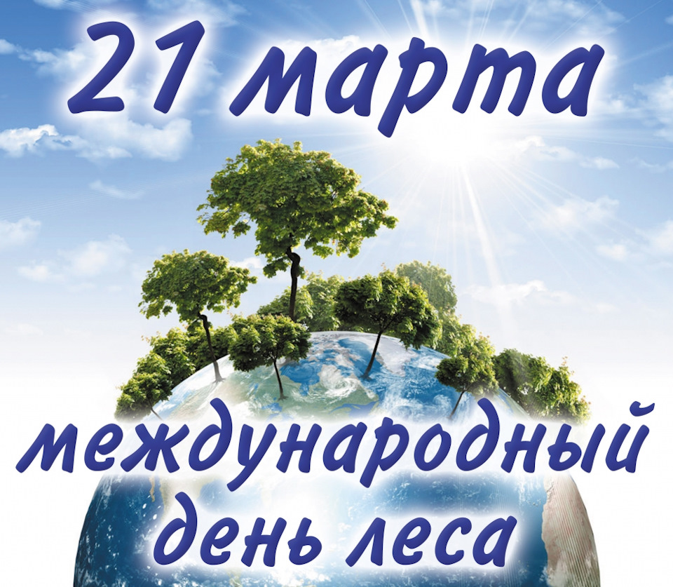 Поддельная стс на авто. Смотреть фото Поддельная стс на авто. Смотреть картинку Поддельная стс на авто. Картинка про Поддельная стс на авто. Фото Поддельная стс на авто