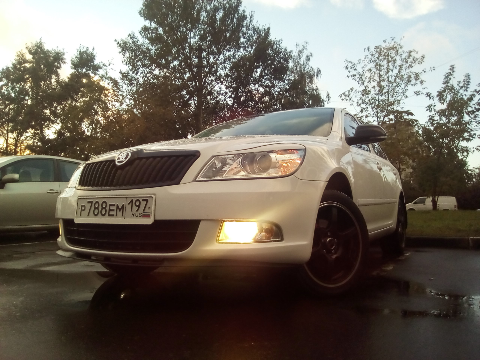 MTF в туманки — Skoda Octavia A5 Mk2, 1,6 л, 2010 года | другое | DRIVE2