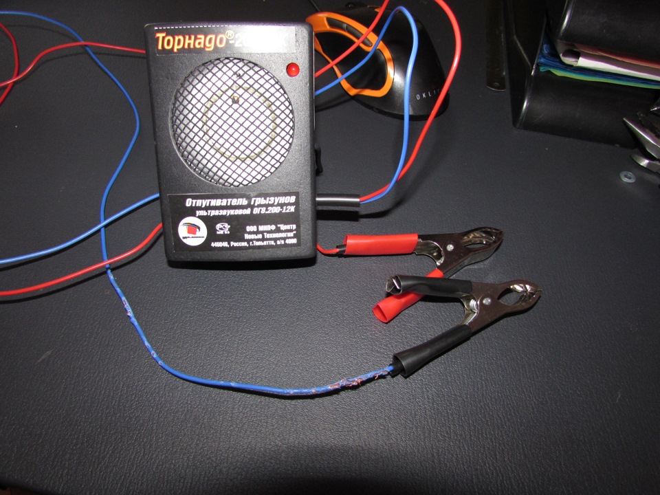 крысы( под капотом. — Hyundai Accent (2G), 1,5 л, 2006 года | прикол ...