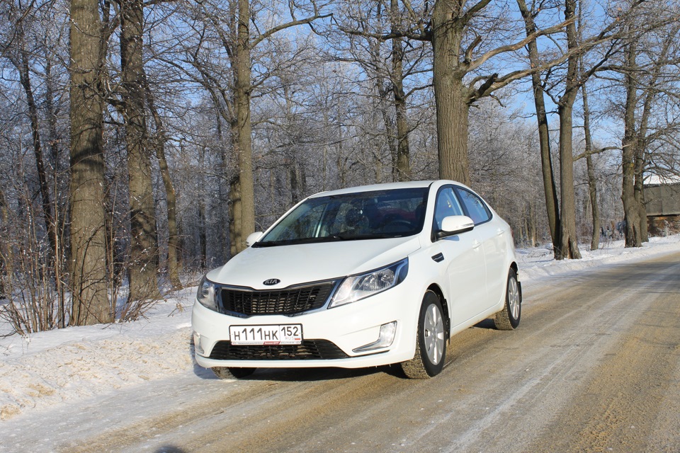 Реклама двигатель торговли! - KIA Ceed (2G), 1,6 л, 2016 года стайлинг DRIVE2