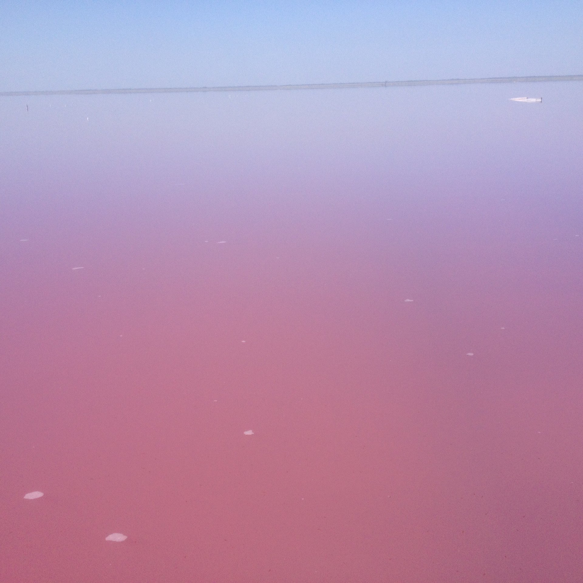 Розовое озеро яровое. Розовое озеро Алтай Бурсоль. Малиновое озеро Алтайский край Бурсоль. Розовое озеро Алтайский край Яровое. Яровое Бурсоль.