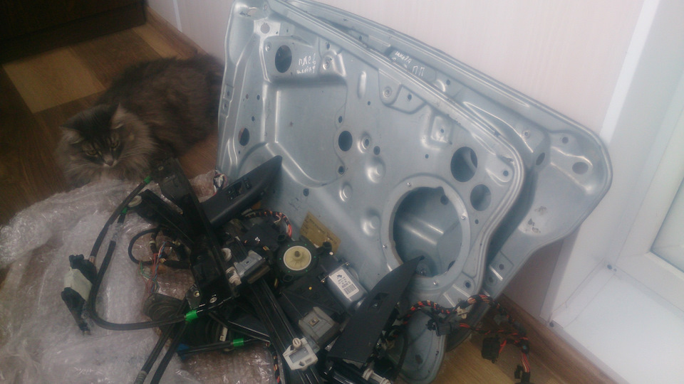 Кот в комплект не входит))) — Skoda Fabia Combi Mk1