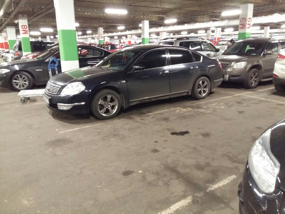 На этот зимний сезон пока поставил эти. — Nissan Teana (J31), 3,5 л ...