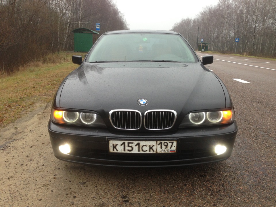 Беха есть беха!) — BMW 5 series (E39), 2 л, 1997 года | фотография | DRIVE2