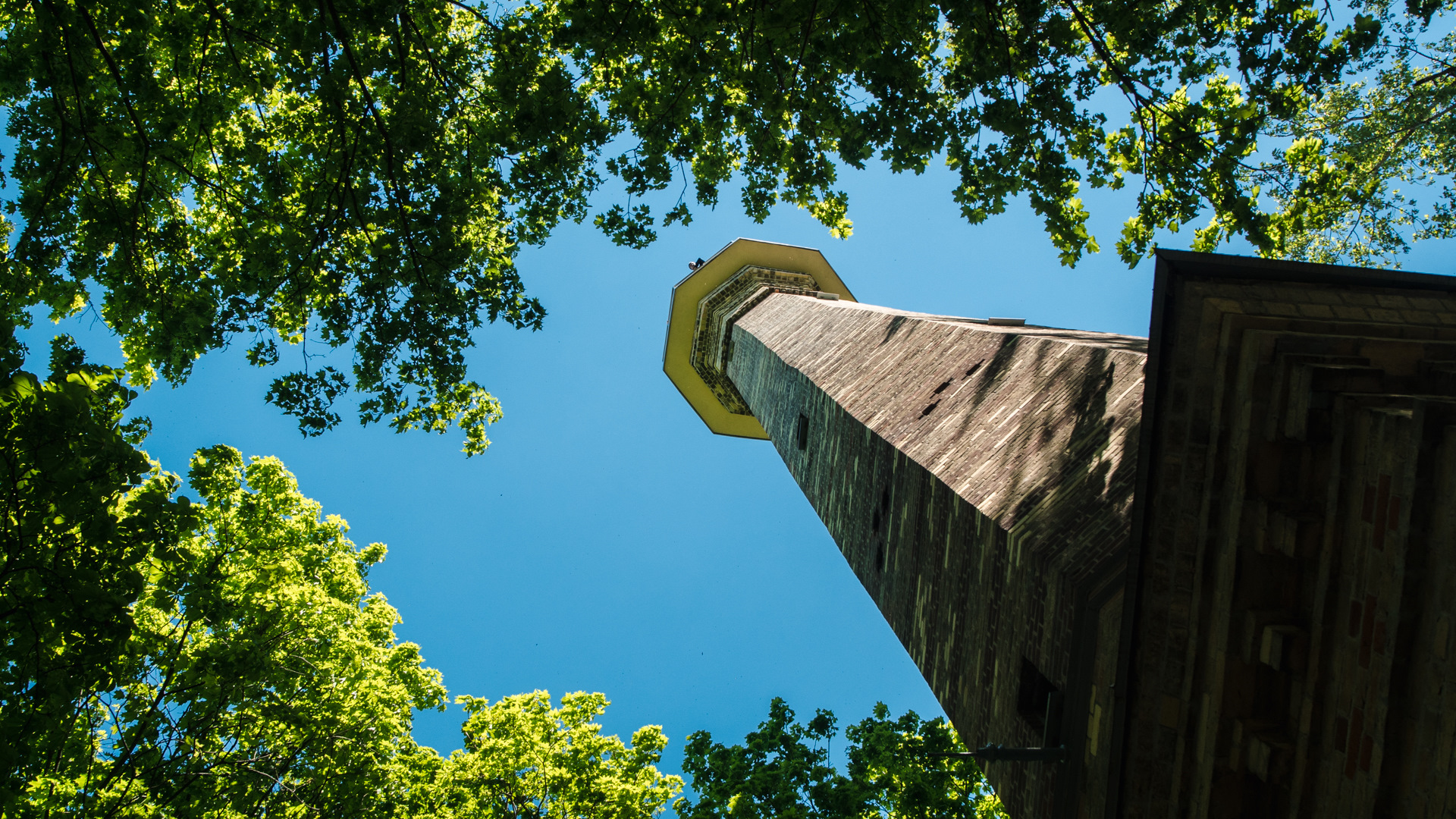 Gomel tower