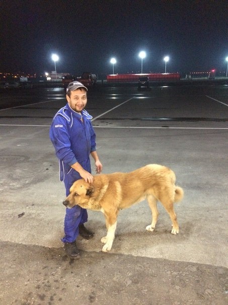 Фото в бортжурнале Subaru Impreza WRX STI (GC)