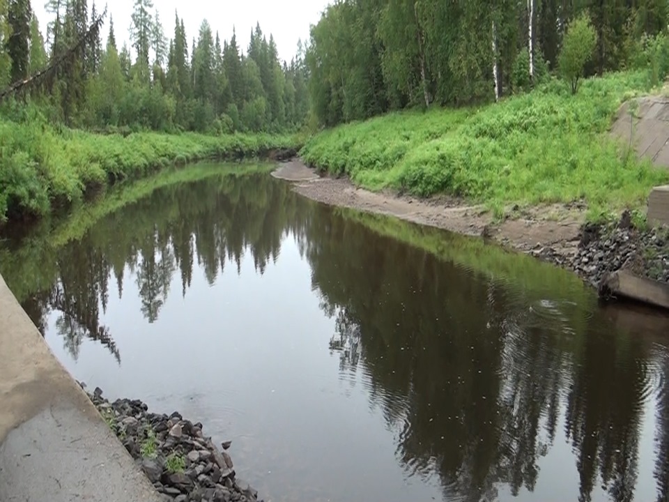 Сыктывкар улица печорская. Печора 4. Печора 4. Парикмахерская сыктывкар элегия. Печора 4.