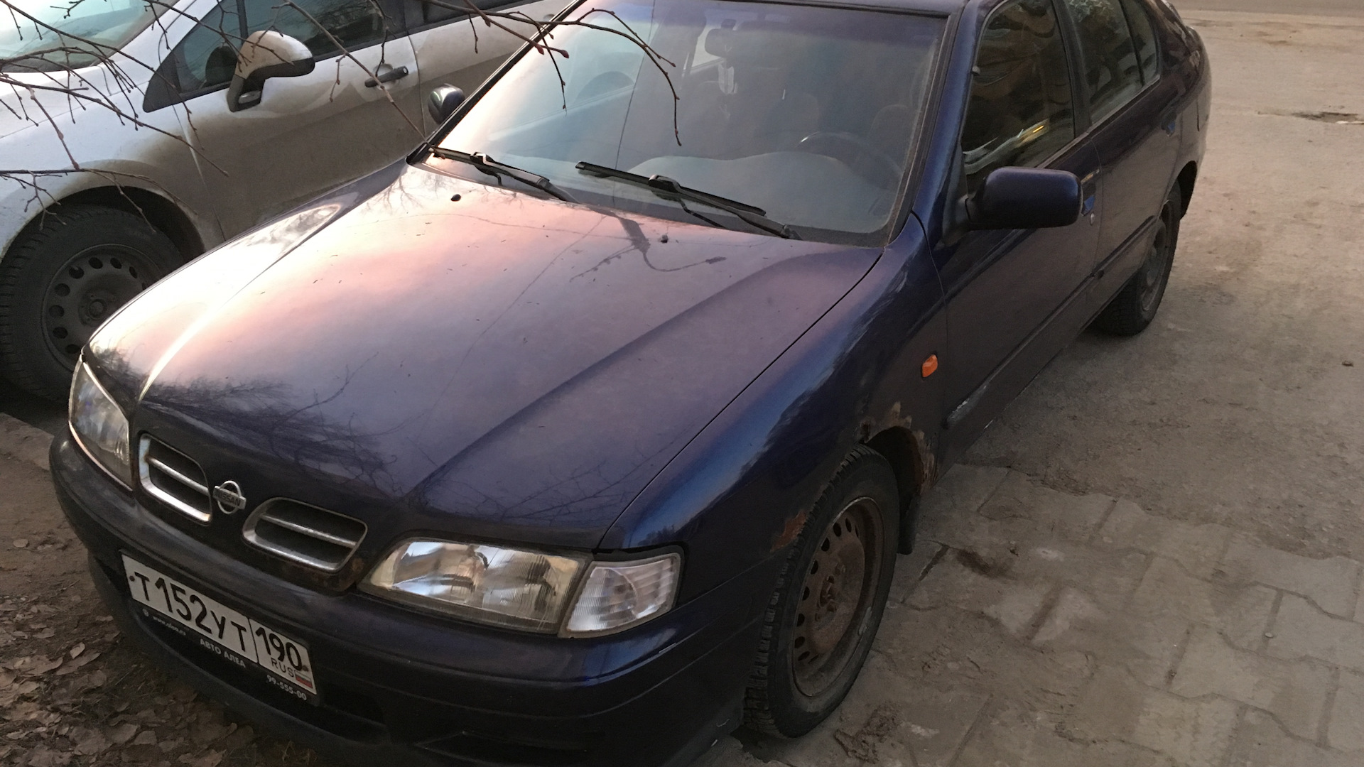 Nissan Primera (P11) 2.0 бензиновый 1997 2.0 турбо-дизель на DRIVE2