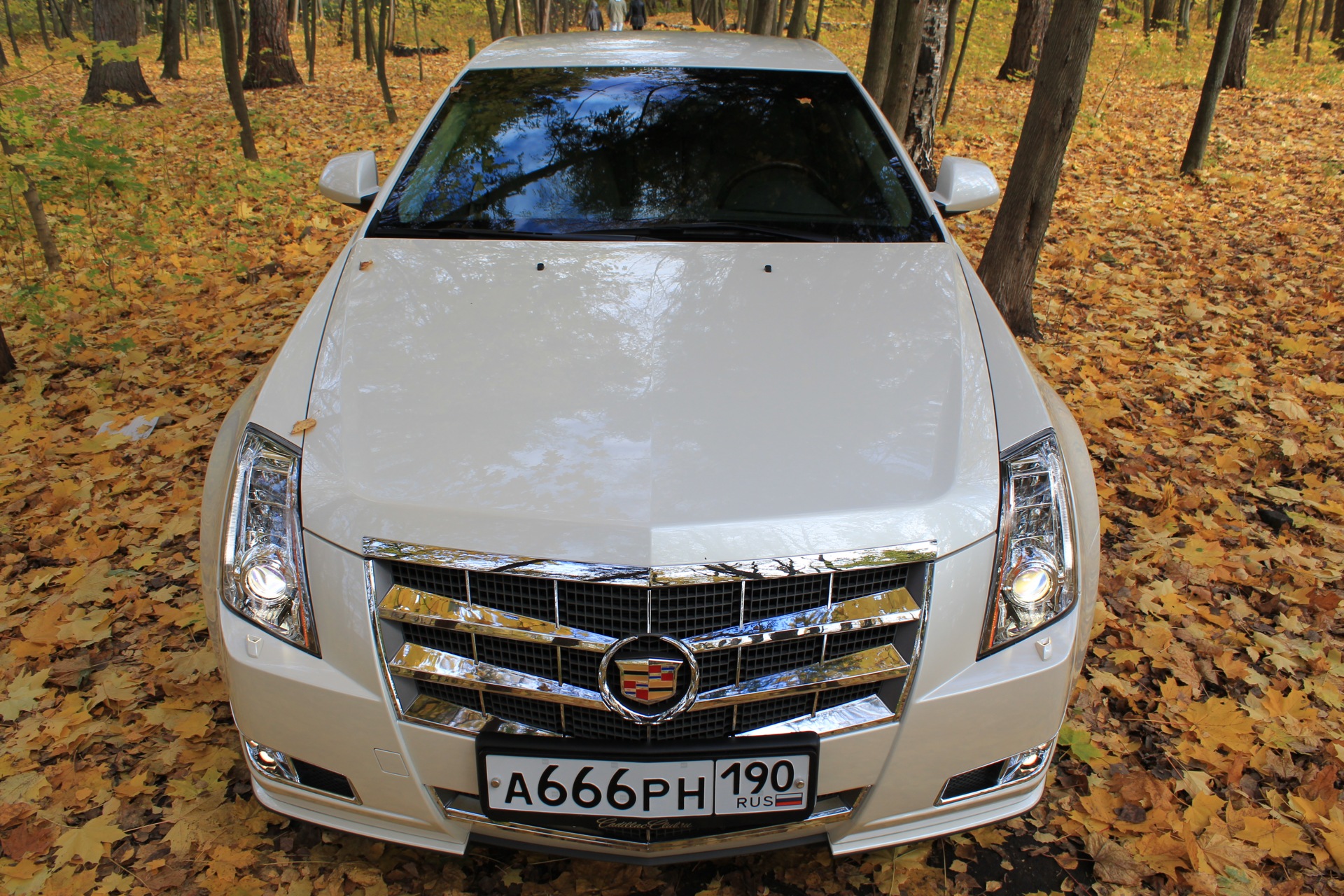 Фото в бортжурнале Cadillac CTS (2G)