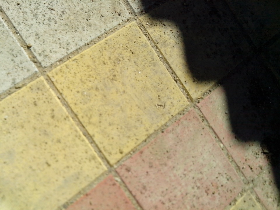 Что плюется у меня, выхлопная моя труба… — Lada Ока 11113, 0,8 л, 2002 ...