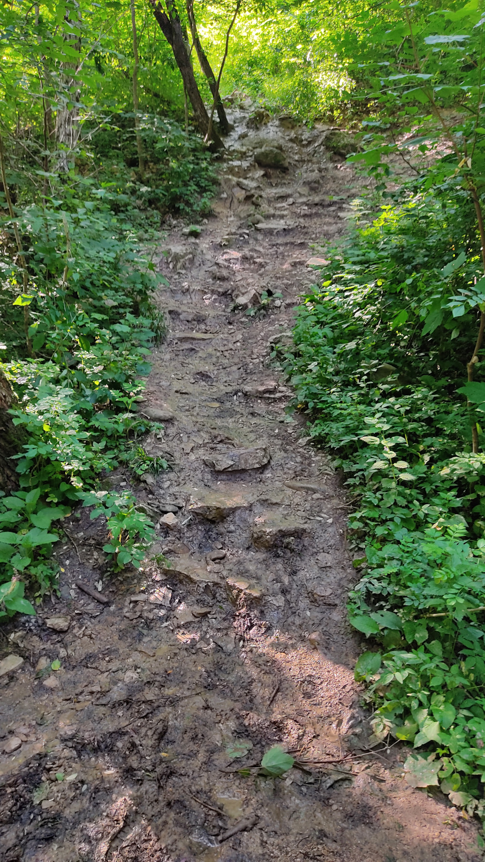 Фото в бортжурнале Hyundai Tucson (TL)