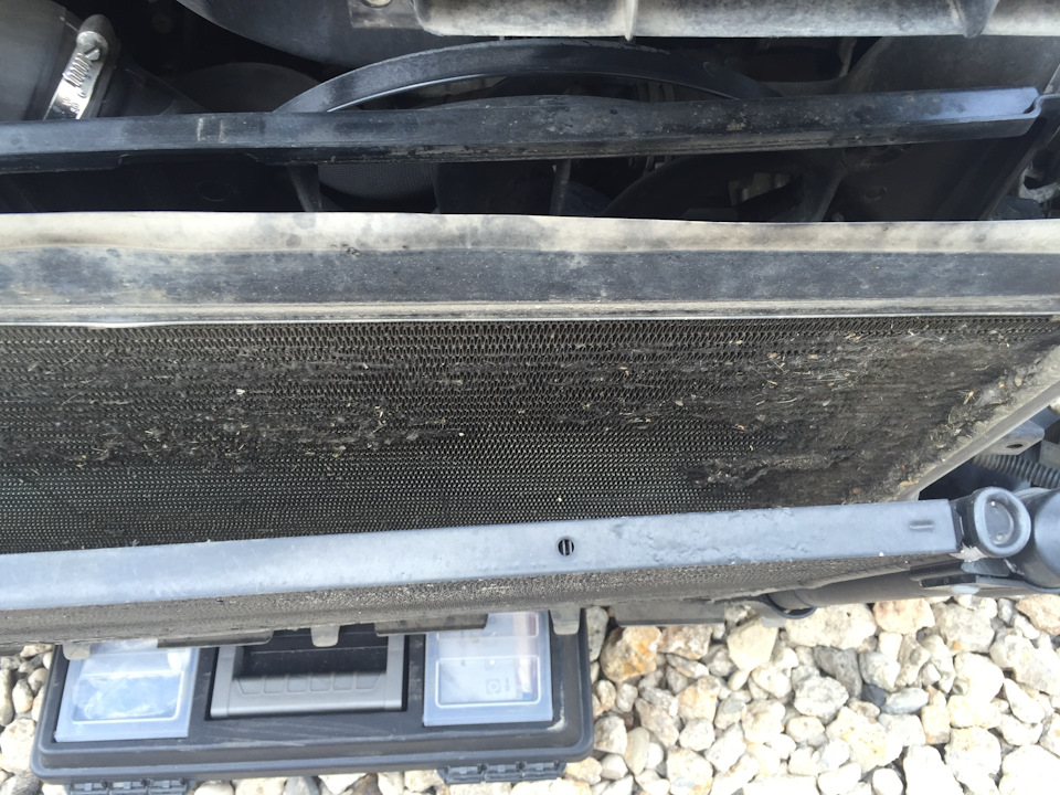 На валенок не хватит скатать, но тоже не мало грязищи — Skoda Octavia A5 Mk2