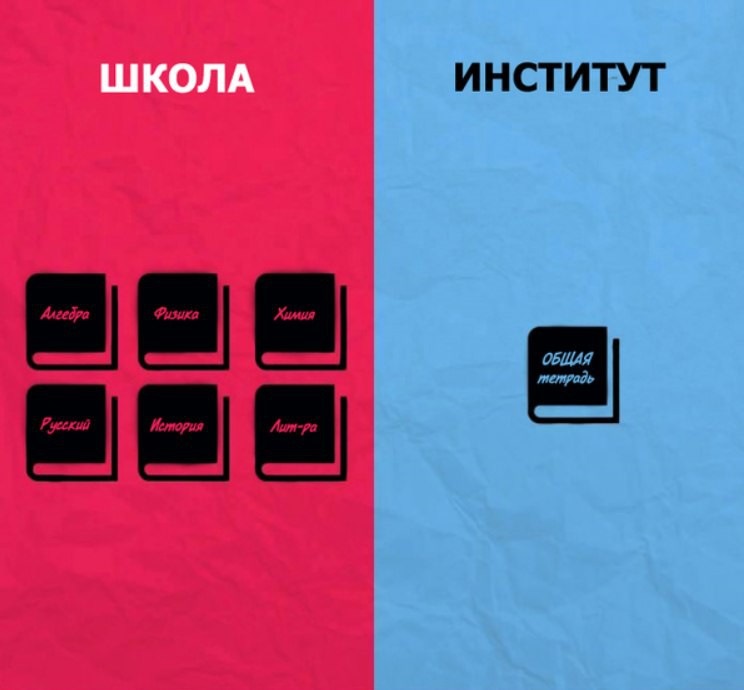 Институт или школа. Отличия школы от университета. Чем отличается институт от школы. Институт или школа. Институт или школа.